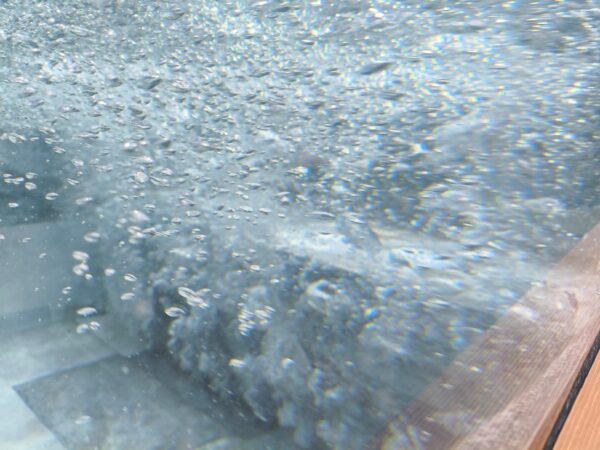 Poolspa de 3,90 x 2 m (16MIN/25 DH) - Imagen 6